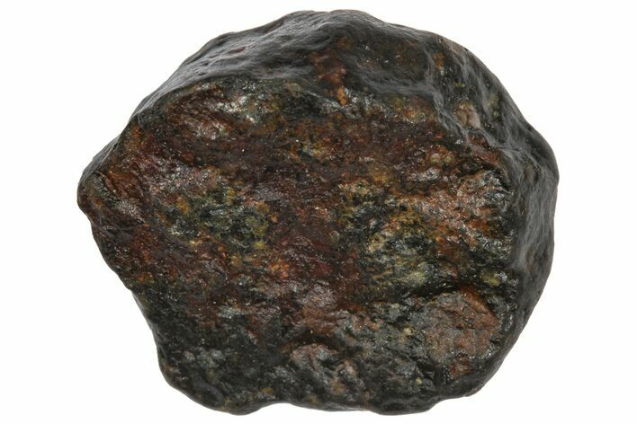 Carbonaceous Chondrite Meteorite ( g) - NWA #334424
